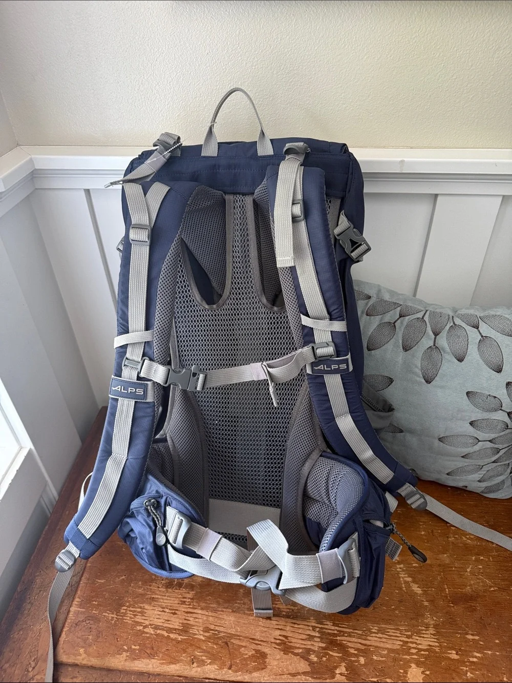 Alps Mountaineering® Baja 60 Backpack